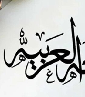 Profile picture of وفاء محمد محفوظ السيد