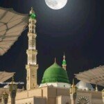 74a9903d-8973-4a0b-b79b-d633c671f04f