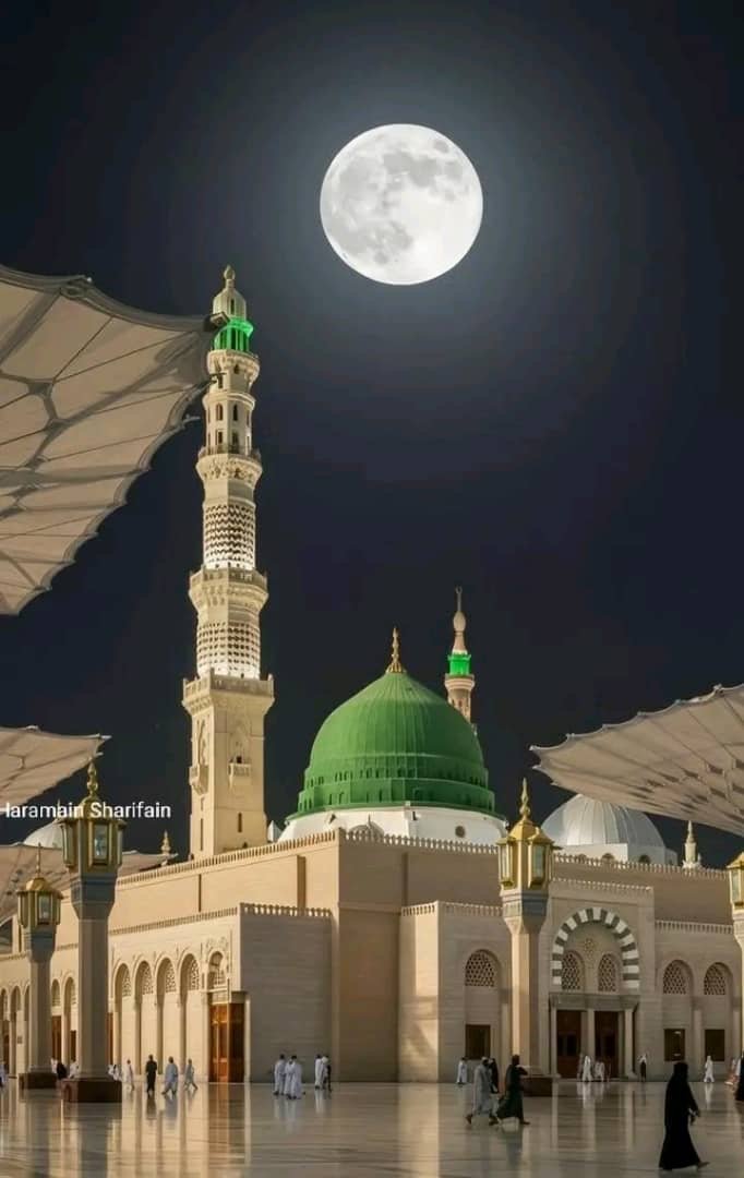 74a9903d-8973-4a0b-b79b-d633c671f04f