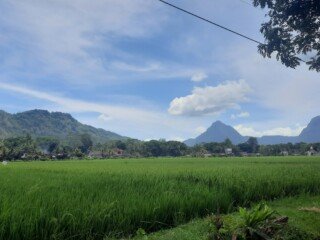 20231209_120704 - Copy - Copy - Copy