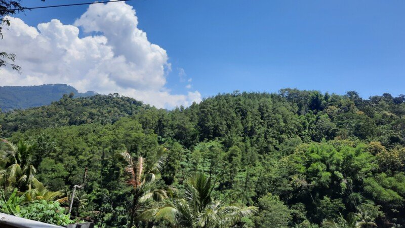 20240412_111256-copy