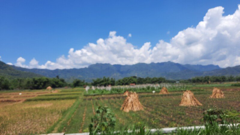 20240412_113451-copy