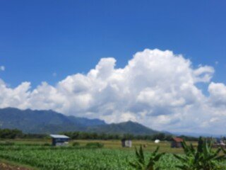 20240412_113454 - Copy