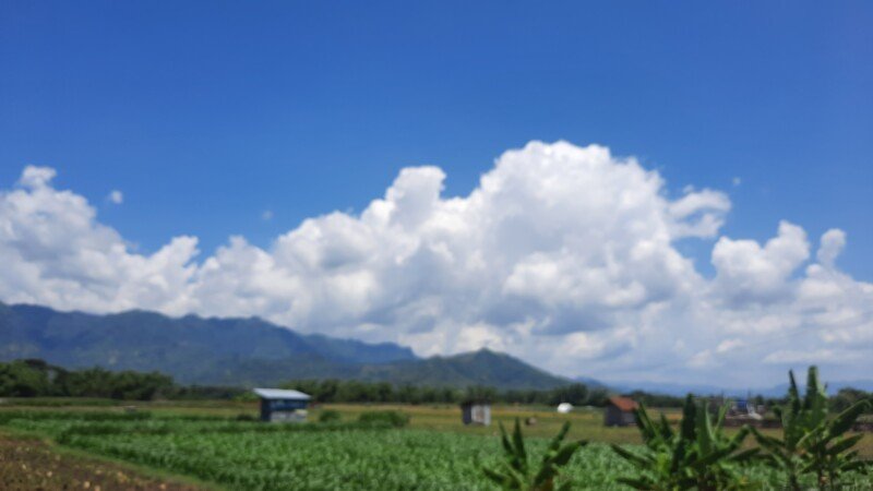 20240412_113454-copy