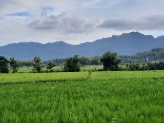 20240412_163855 - Copy