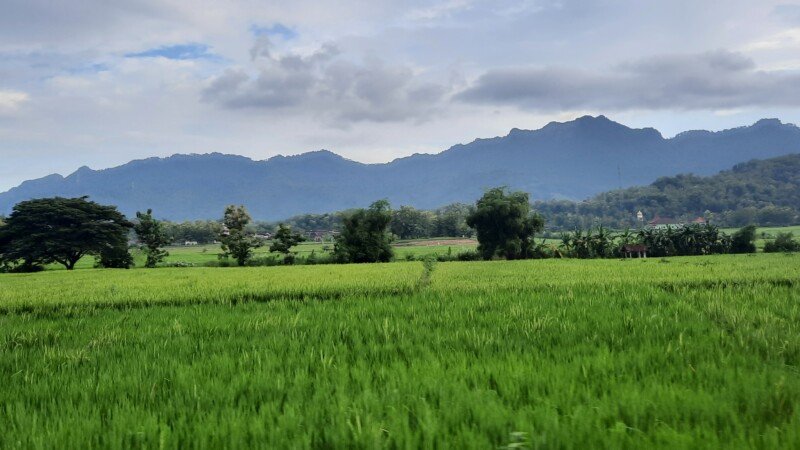 20240412_163855-copy