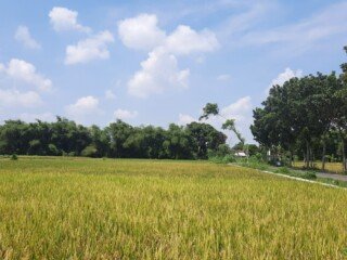 20240415_124524 - Copy