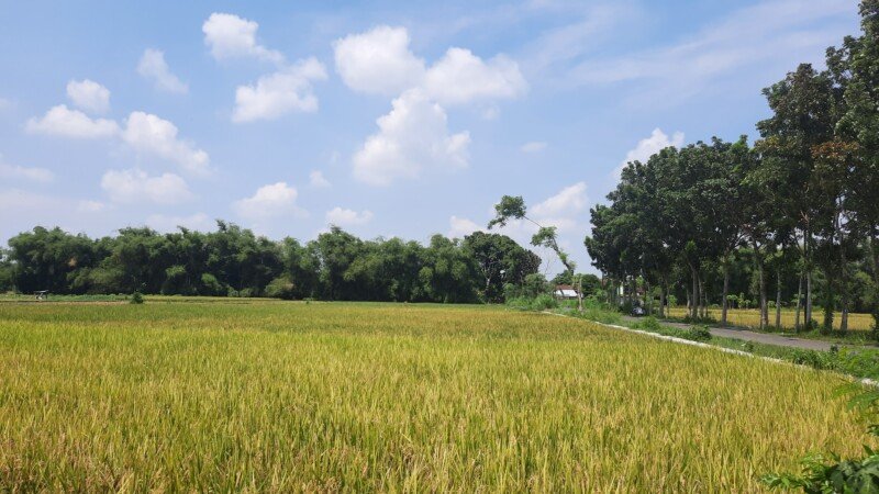 20240415_124524-copy