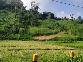 20240415_153139 - Copy