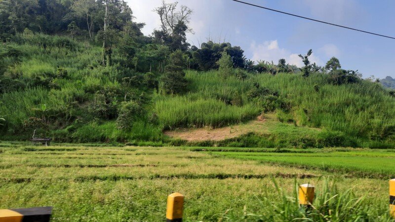 20240415_153139-copy