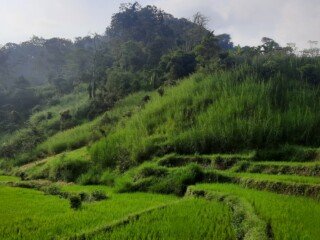 20240415_153146 - Copy