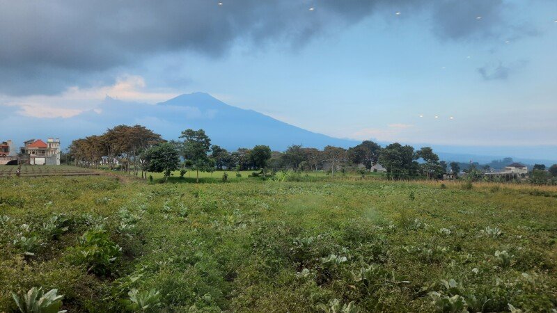 20240415_165431-copy