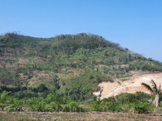 20240721_130033 - Copy