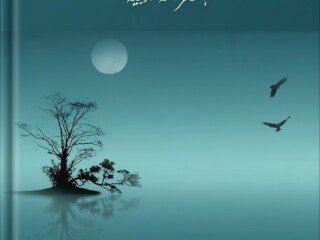 غلاف ديوان الصمت